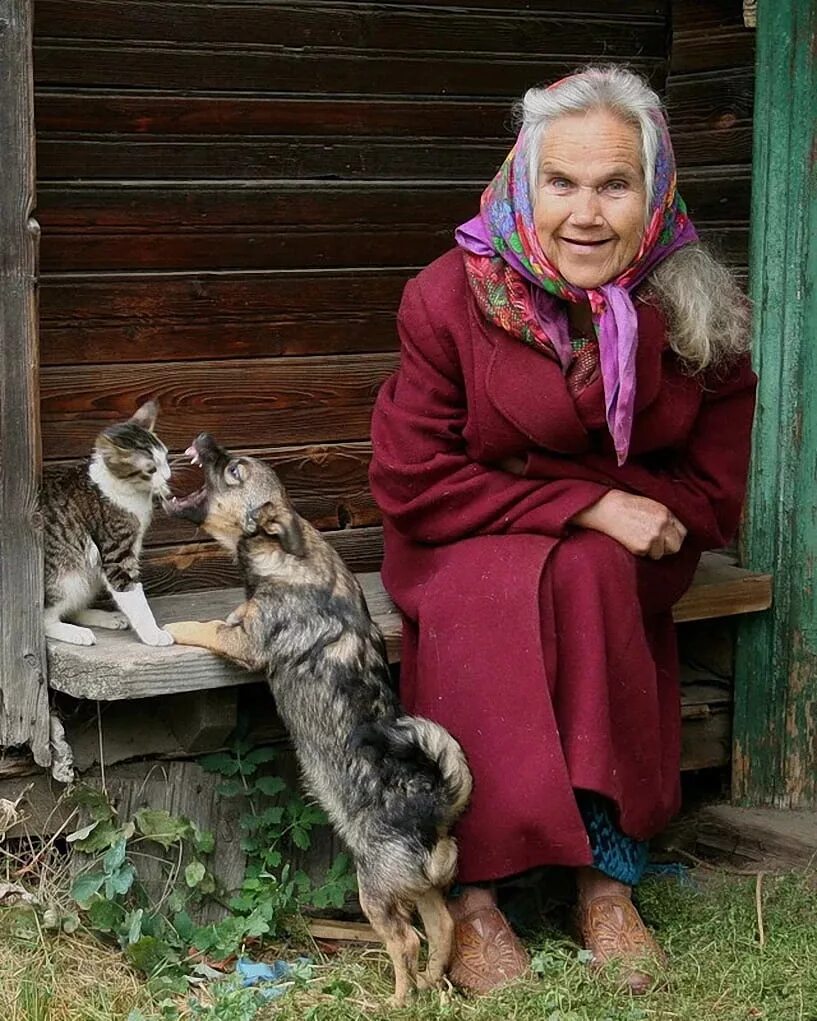 Пожилая женщина с собакой. Бабушка в деревне. Бабушка с кошкой. Слепая бабушка. Деревенская бабушка.