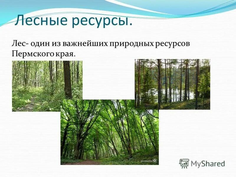 богатство пермского края. природно-ресурсный потенциал округа. природные ресурсы перми. природные ресурсы перми. охрана окружающей среды пермского края 4 класс кратко.