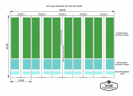 Nft info