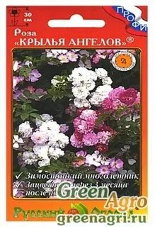 Семена крылья ангелов