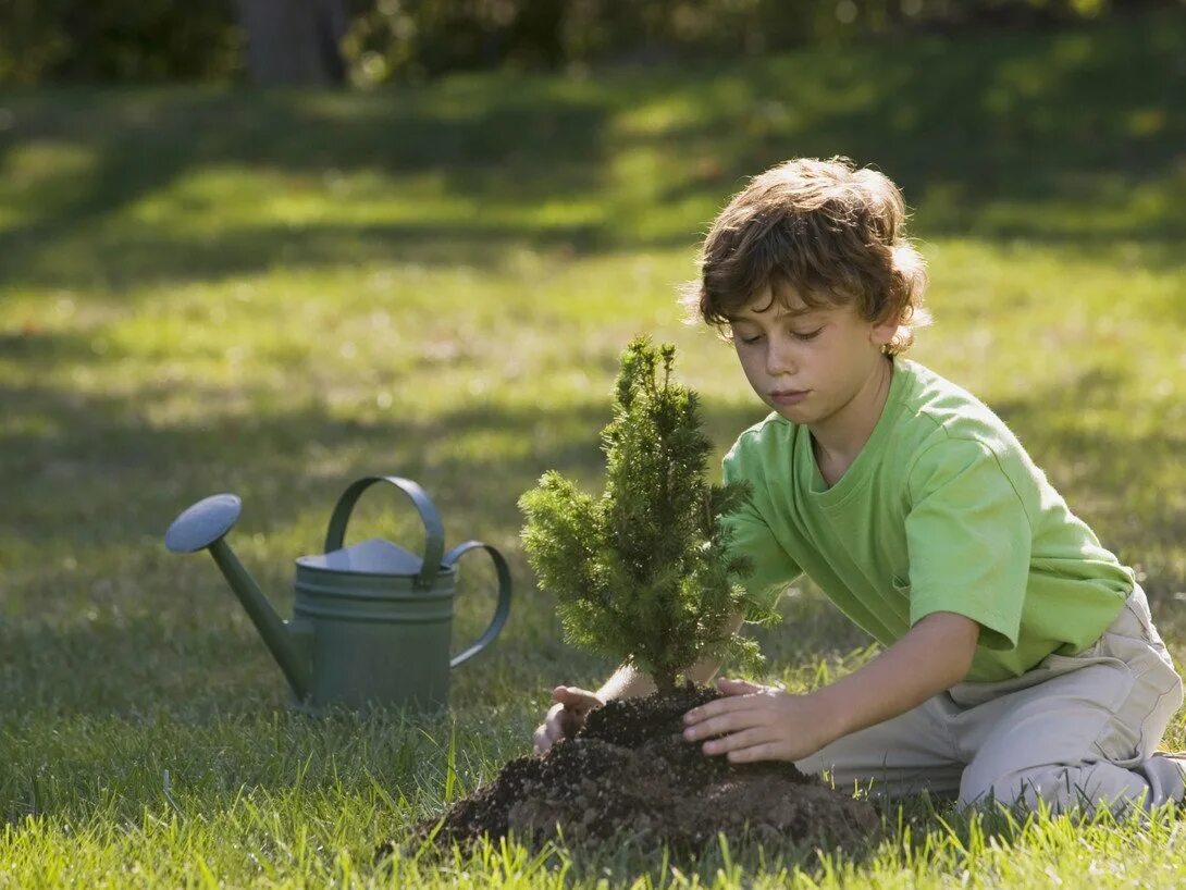 Child nature. Дети и природа. Детям об экологии. Мальчик сажает дерево. Школьники на природе.