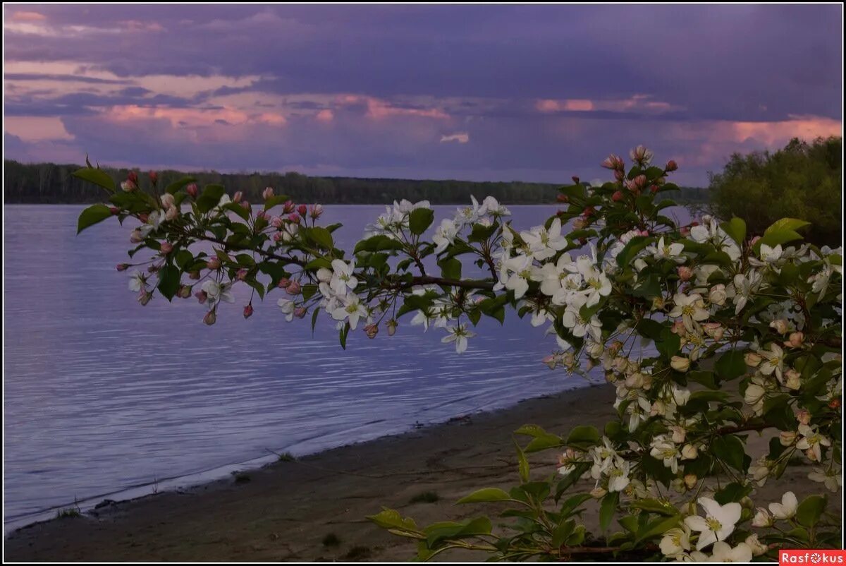 Картинка добрый вечер весенняя природа. Весенний вечер. Майский вечер. Природа в мае. Весеннего майского вечера.