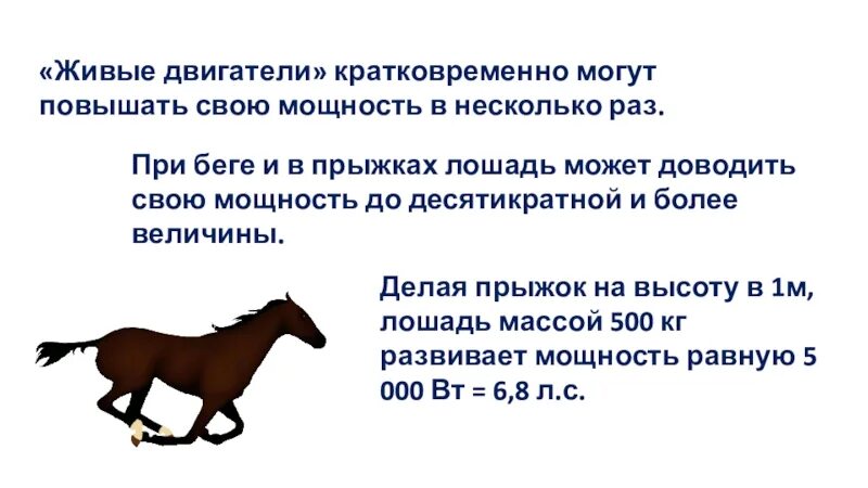 Расчет прыжка лошади. Какую максимальную высоту может прыгнуть лошадь. Вес лошади. Скорость быка при беге.