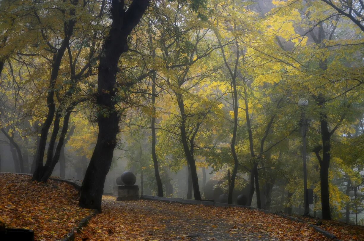 Железноводск осень. Парк Железноводск осень. Железноводск в октябре. Железноводск осенью. Железноводск октябрь