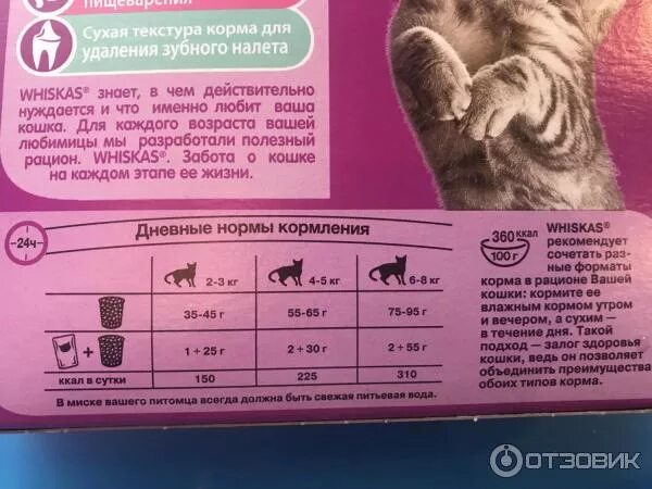 Вискас для котят нормы кормления. Таблица кормления кошек сухим кормом. Нормы сухого корма вискас. Норма сухого корма вискас для кошек. Количество корма для кота