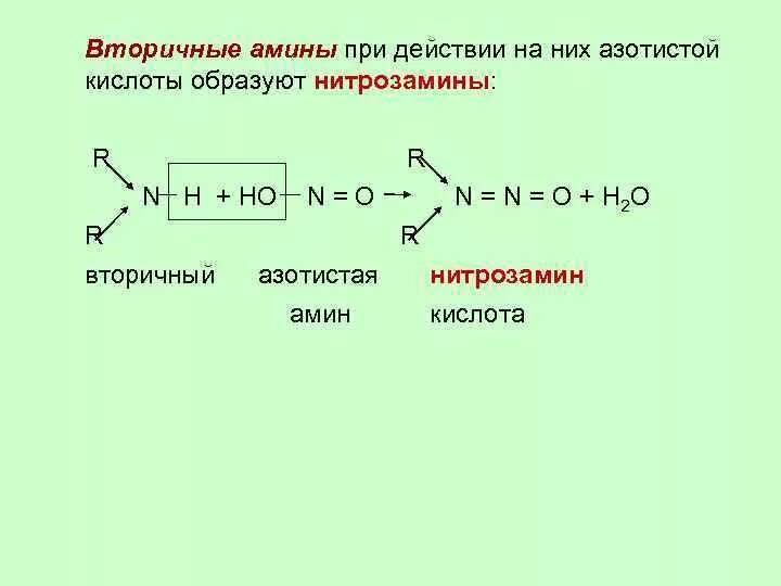 Цепочки по теме амины. Первичные и вторичные Амины с азотистой кислотой. Вторичный Амин с азотистой кислотой. Вторичные Амины с азотистой кислотой реакция. Вторичный Амин и азотистая кислота Амины.