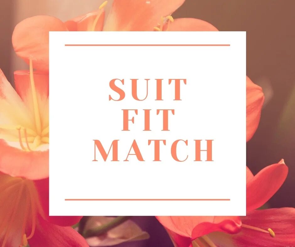 Suitable match. Fit Match Suit. Match Suit Fit разница. Match Fit Suit go with. Match go with разница.