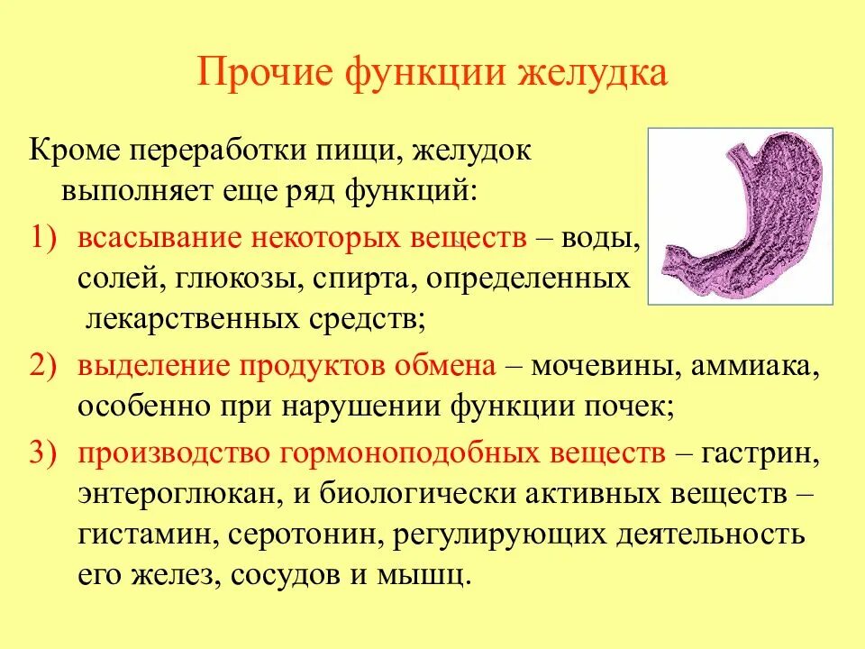 Картинки СОРВАЛ ЖЕЛУДОК ЧТО ДЕЛАТЬ