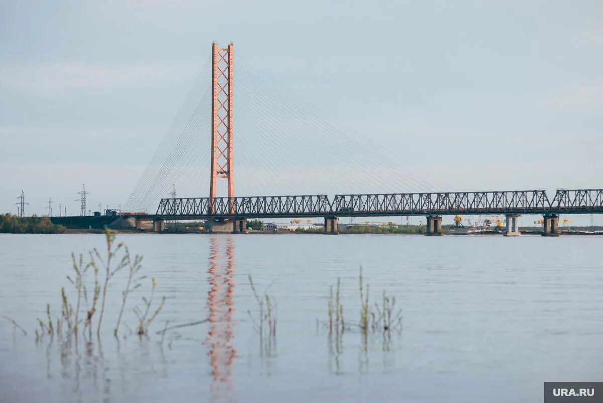 Мост через Обь в Сургуте. Сургут Юганская Обь. Мост через реку Обь в Салехарде. ХМАО мост через Обь.