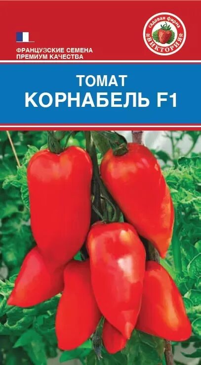 Томат корнабель купить семена