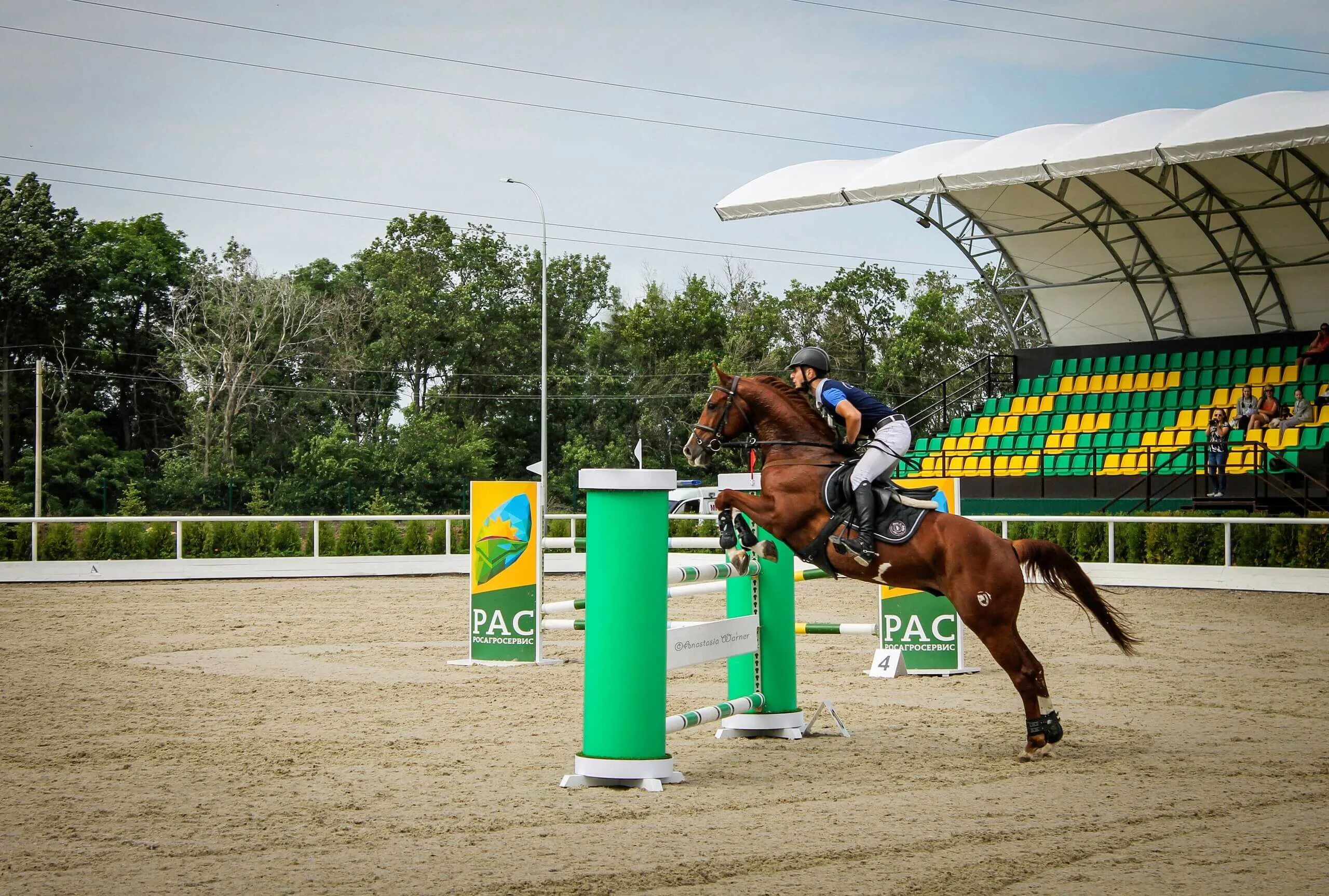 Голден Хорс Таганрог. Golden Horse Таганрог. Конный клуб Таганрог Голден Хорс. КСК Голден Хорс Таганрог конюшни. Спа голден хорс