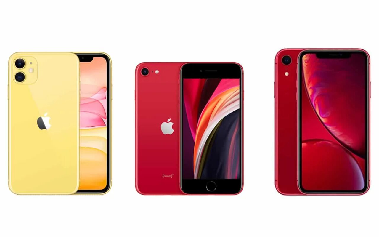 Айфон 11 se. Iphone XR 2020. Iphone se XR. Айфон XR 2. Iphone se 2020 vs iphone XR.