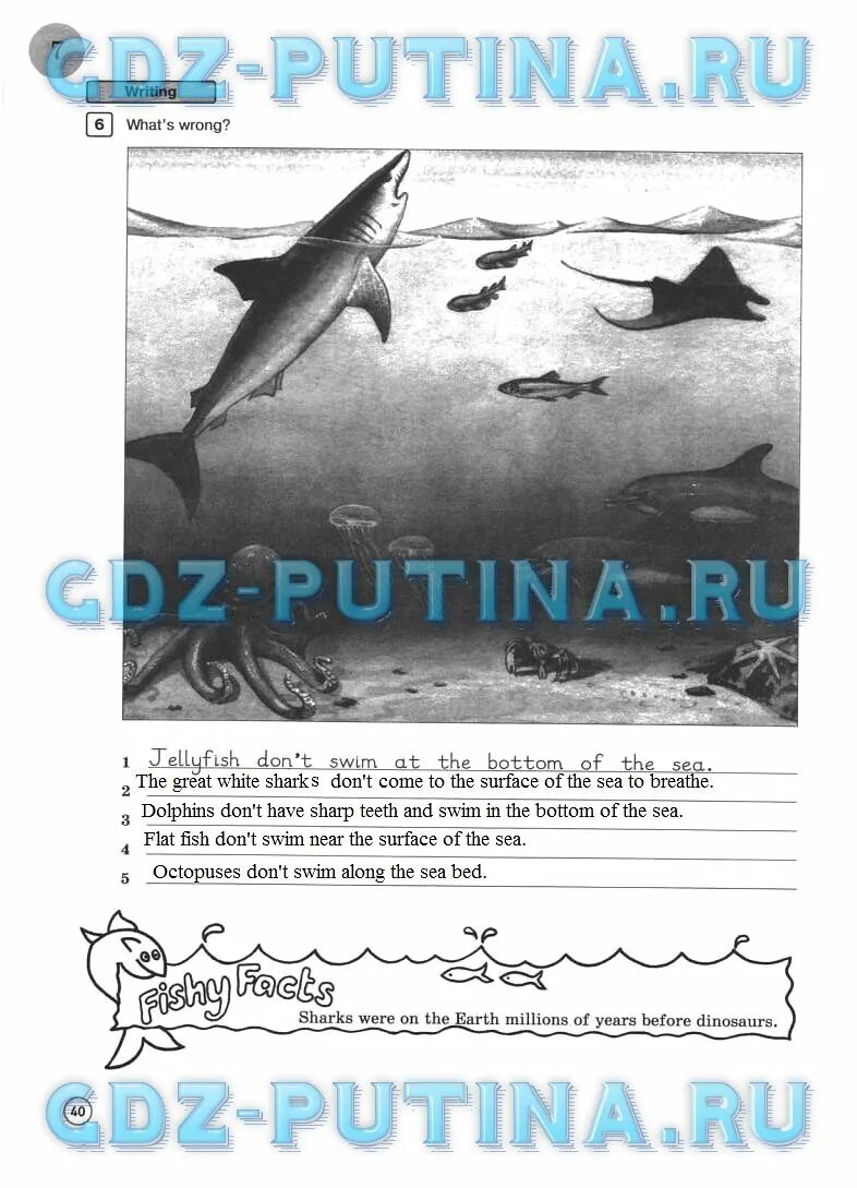 Английский 5 класс тетрадь стр 59. Английский язык 7 класс Вербицкая Sharks? Sharks!.