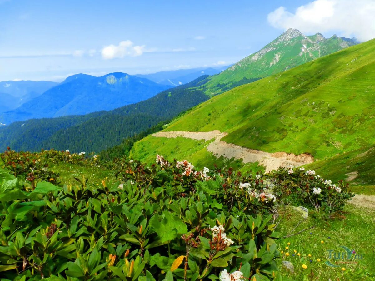 Кругозор ефремова красная. Красный сад коттеджный поселок. Гостиница красная гора брянская область. Сад красная гора. Сад красная гора.