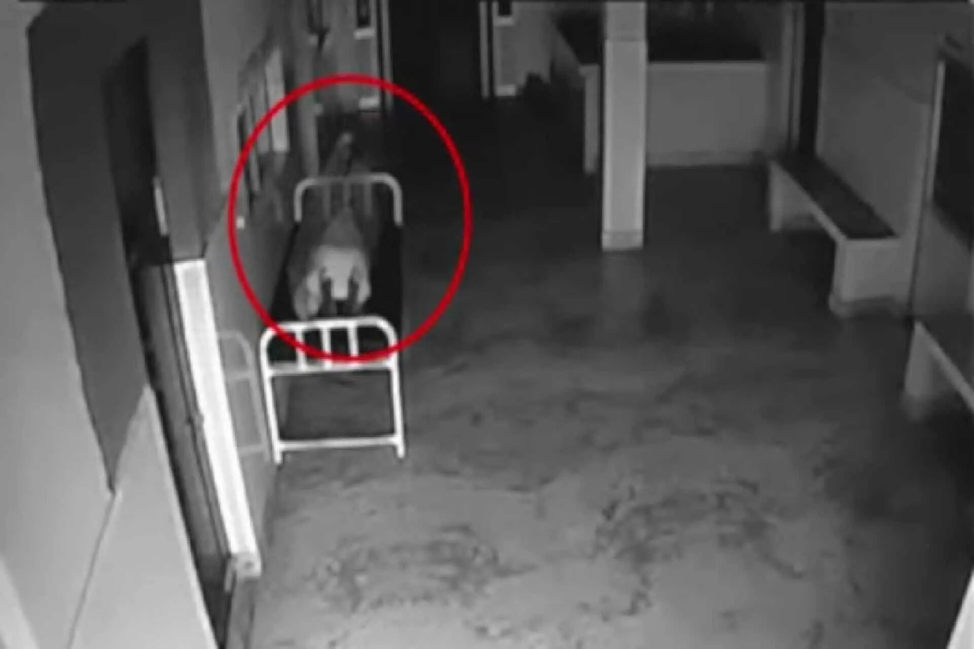 Душа умершего в доме