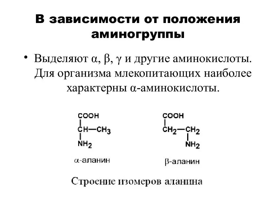 Классификация аминокислот по положению аминогруппы. Аминокислоты в зависимости от положения аминогруппы. Классификация аминокислот по гидрофобности радикалов. Общая структура α-аминокислот.