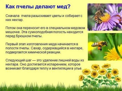 Нектаром инструкция