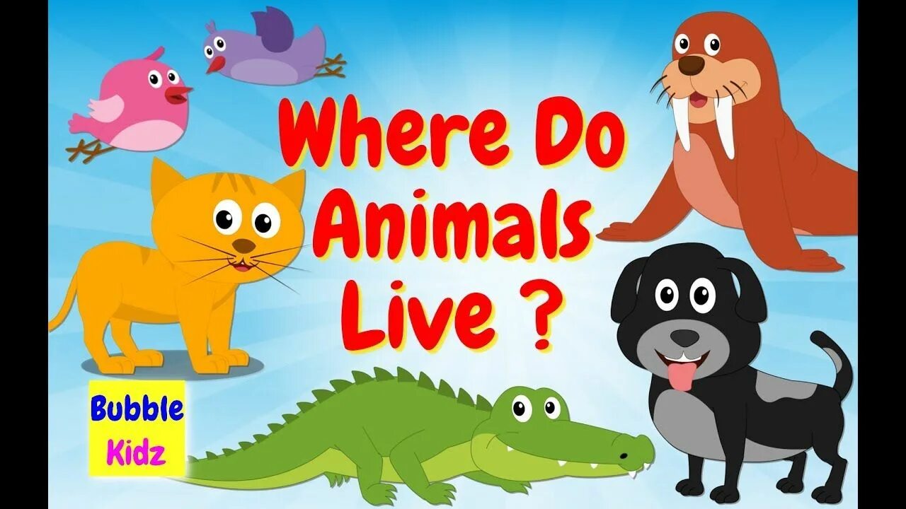 Where животные. Kids Learning animals. Home animals. Home animals for Kids.