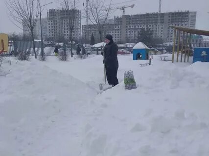Благодарность родителям за расчистку снега