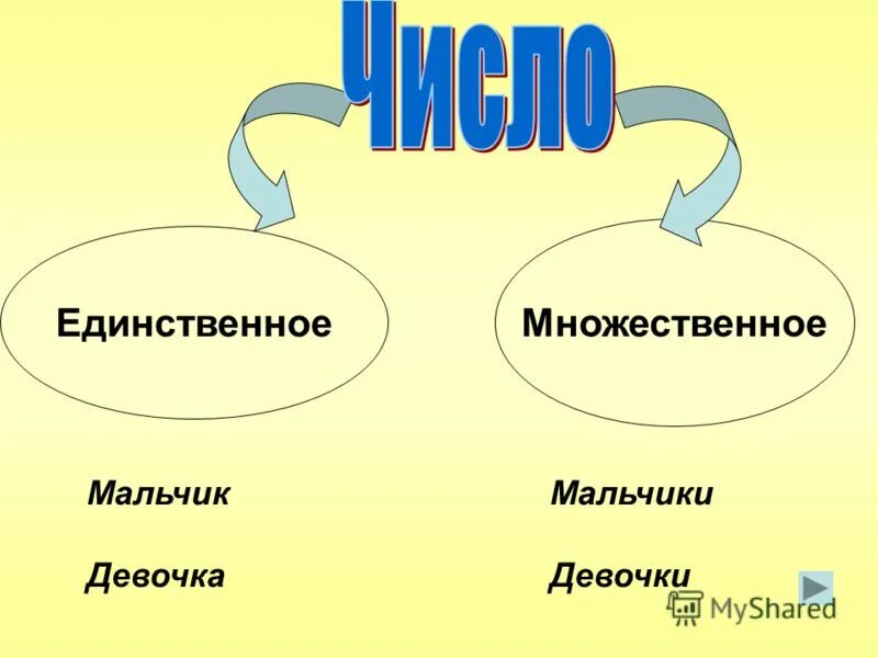 Темнота единственное или множественное