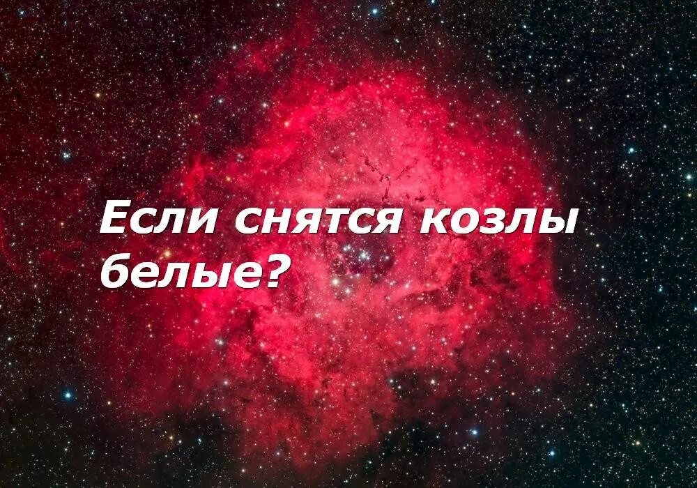 К чему снится бык. Если снится подруга. к чему снится гладить. к чему снится жена. к чему снится дата смерти.