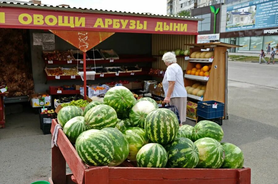 Откуда везут арбузы. Арбузная Лавка. Арбузы Алтайский край. Киргизия арбузы. Выкладка в магазине бахчевых.