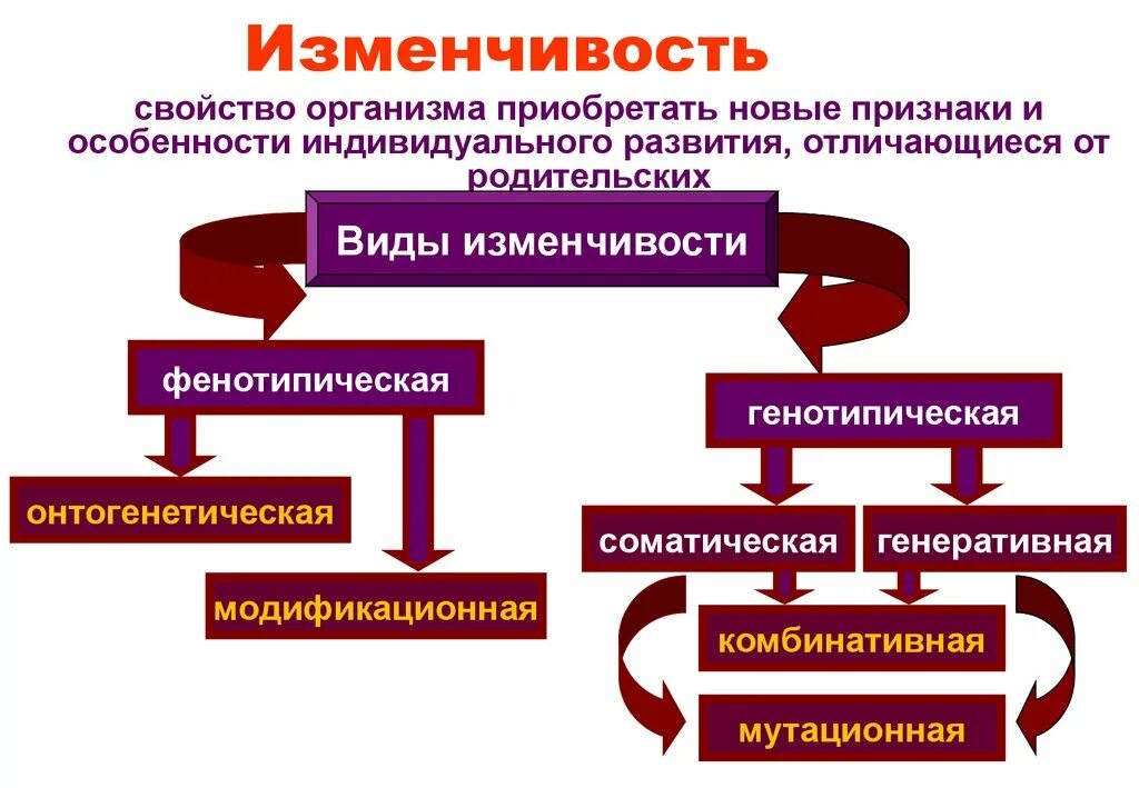 Изменчивость. Виды изменчивости живых организмов. Понятие изменчивость в биологии. Определение изменчивость в биологии. Существует наследственная изменчивость