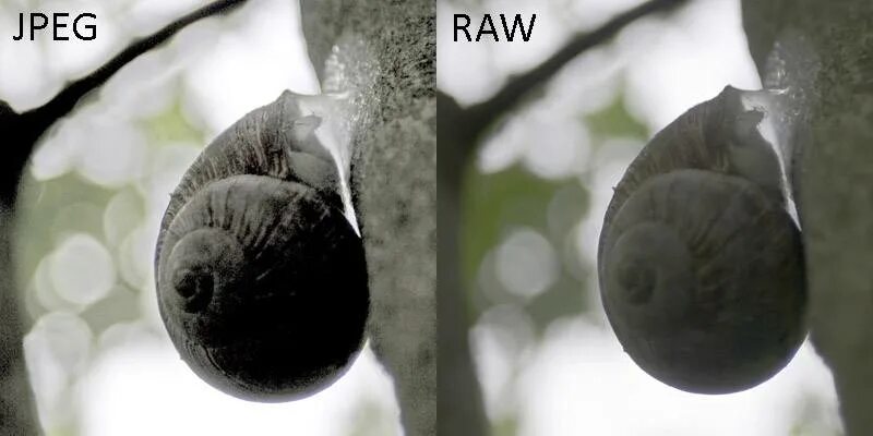 Install raw. Raw формат. raw фотографии. снимок в формате raw. съёмка в raw что это.