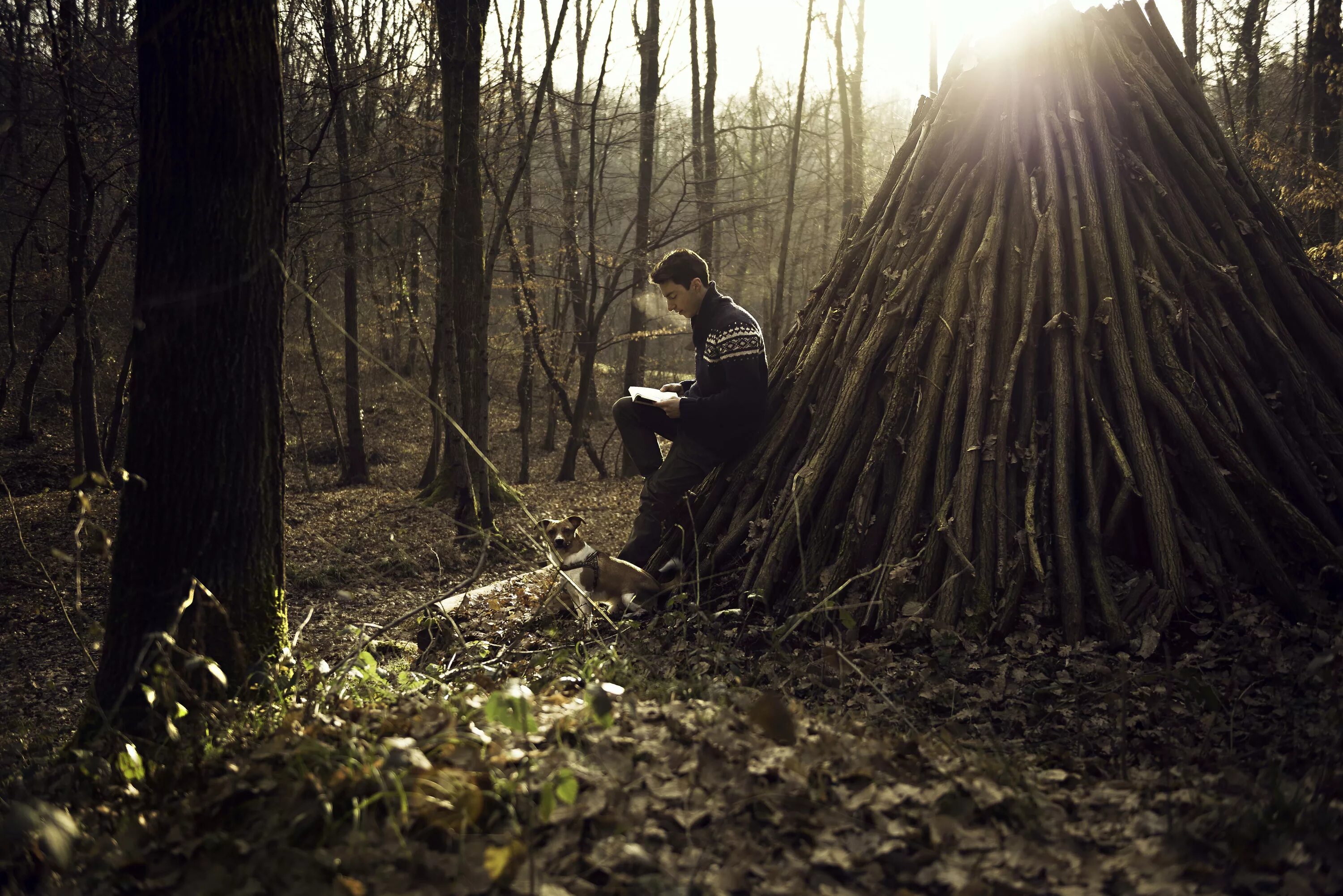 Книга среди деревьев. Мужчина в лесу. Человек в лесу. Фотосессия в лесу. Человек в темном лесу.