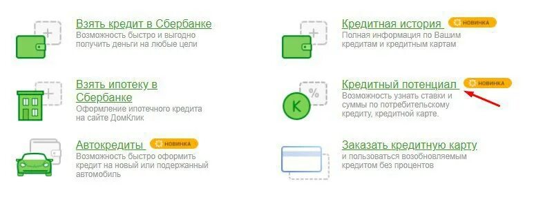 Рассчитать кредитный потенциал сбербанк. Расчет кредитного потенциала. Кредит потенциал сбербанка. Кредитный потенциал сбербанк бизнес. Кредитный потенциал сбербанк бизнес.