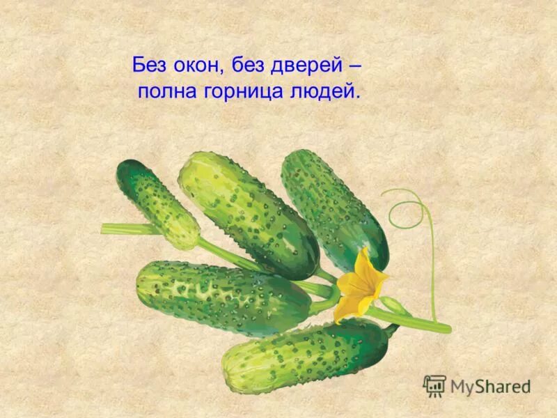 Без окон без дверей полна горница людей загадка. Загадка про огурец полна горница людей. Без окон без дверей полна горница людей. Без окон без дверей полная граница людей. Без дверей полна.