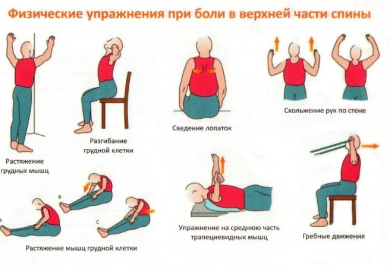 Защемление спины упражнения. Упражнение от боли в спине между лопатками. Сведение лопаток вместе упражнение. Болит между лопаткой упражнения. Упражнения от горба на шее.