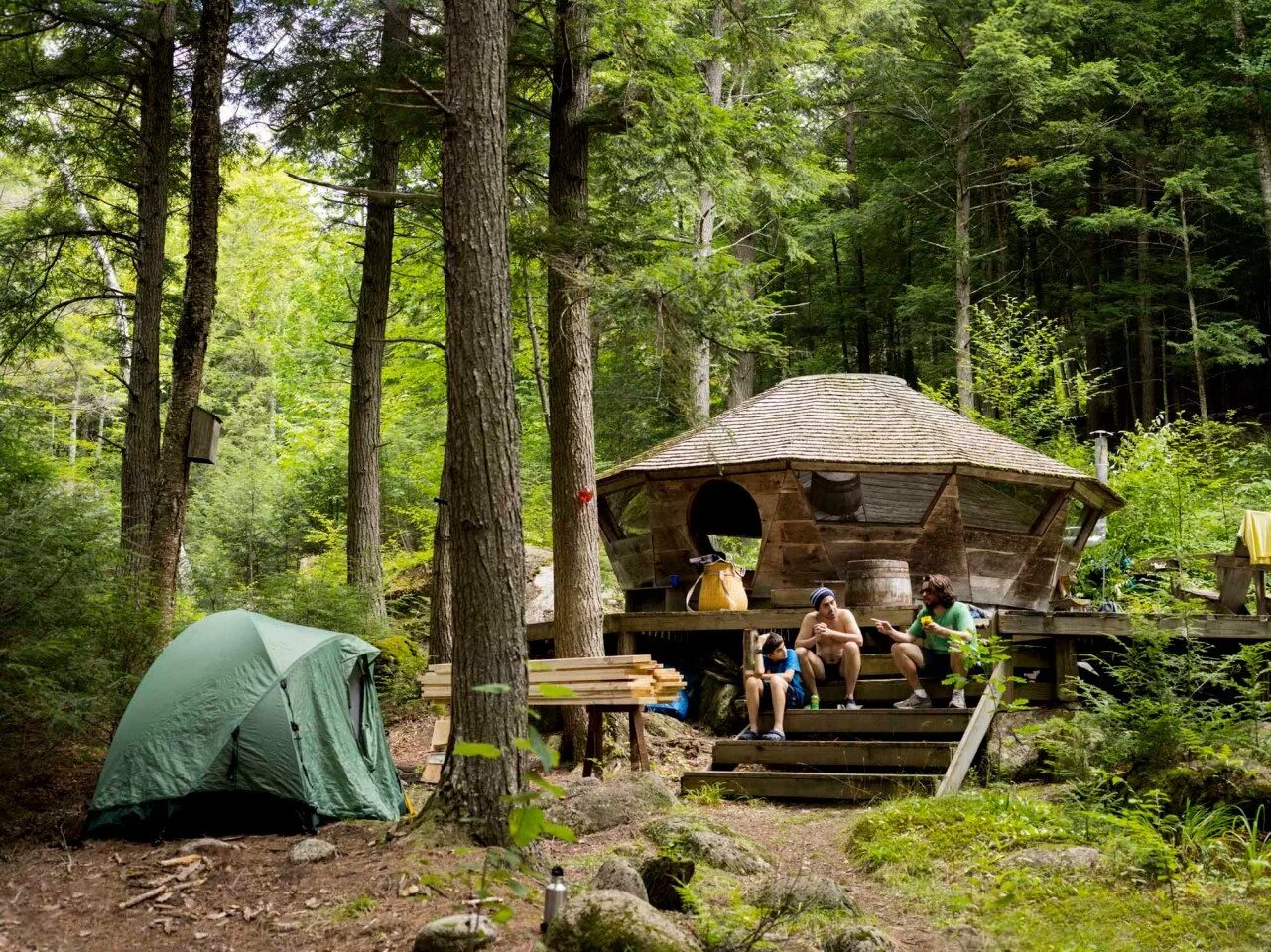 боровецкий лес дом отшельника. маленький уютный домик в лесу. жить в домике в лесу. жить в домике в лесу. домик в лесу.