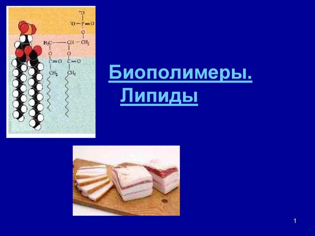 Биополимеры липидов. Липиды это биополимеры. Мономер биополимера липидов. Липиды химия биополимеров. Жиры это биополимеры.