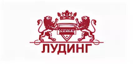 Лудинг москва. Лудинг логотип новый. Лудинг. Лудинг владелец. Лудинг спб.