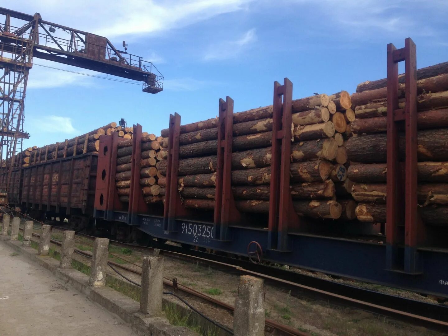 Погрузка лесоматериалов. Платформа для лесоматериалов. Погрузка лесоматериалов в вагоны. Транспортировка лесоматериалов.