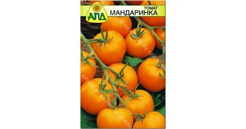 Томат аппетитный отзывы
