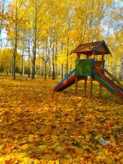 Бобровичи