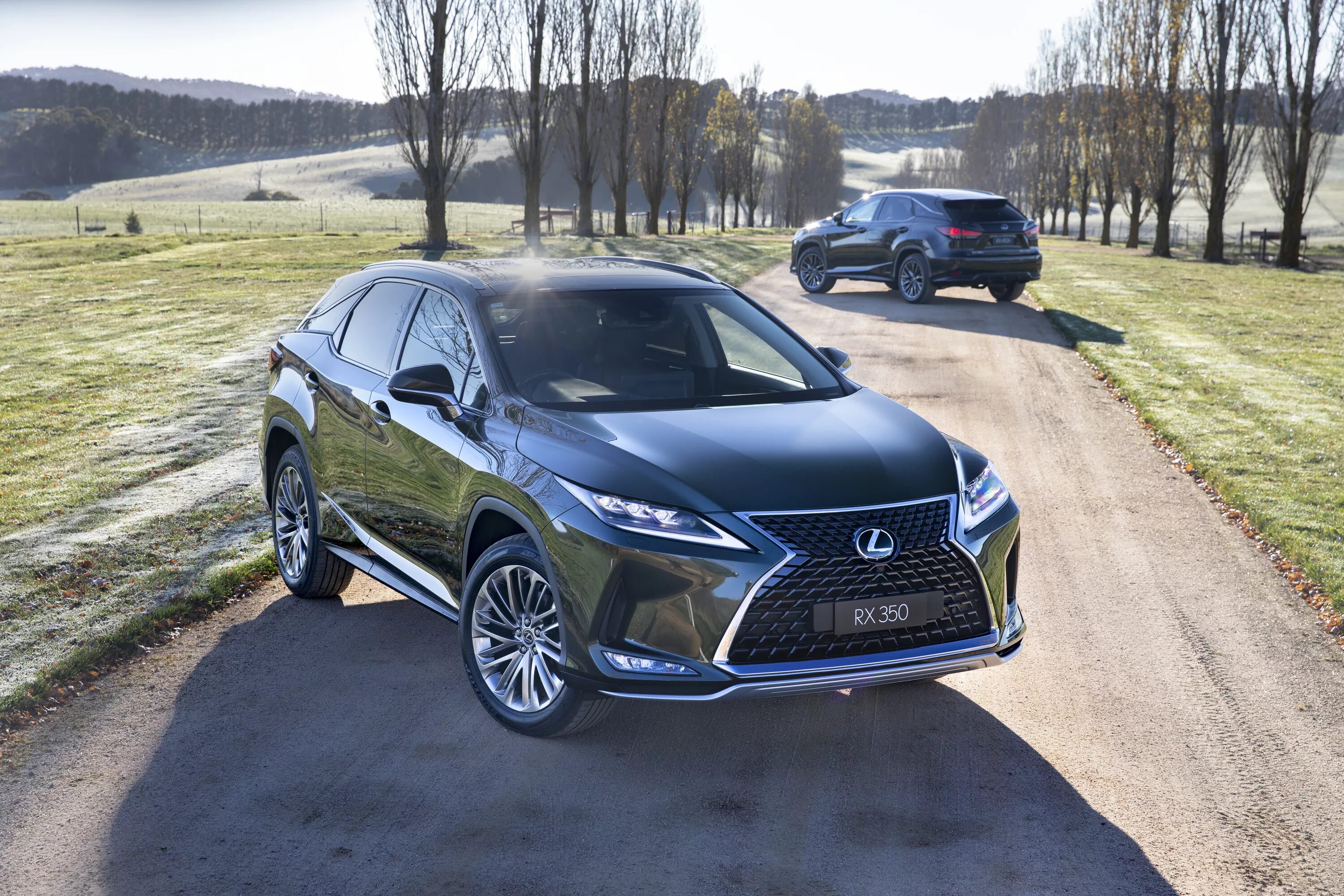 Лексус rx300 2020. Лексус РХ 300 2019. Лексус РХ 350 2019. Lexus rx300 2022.