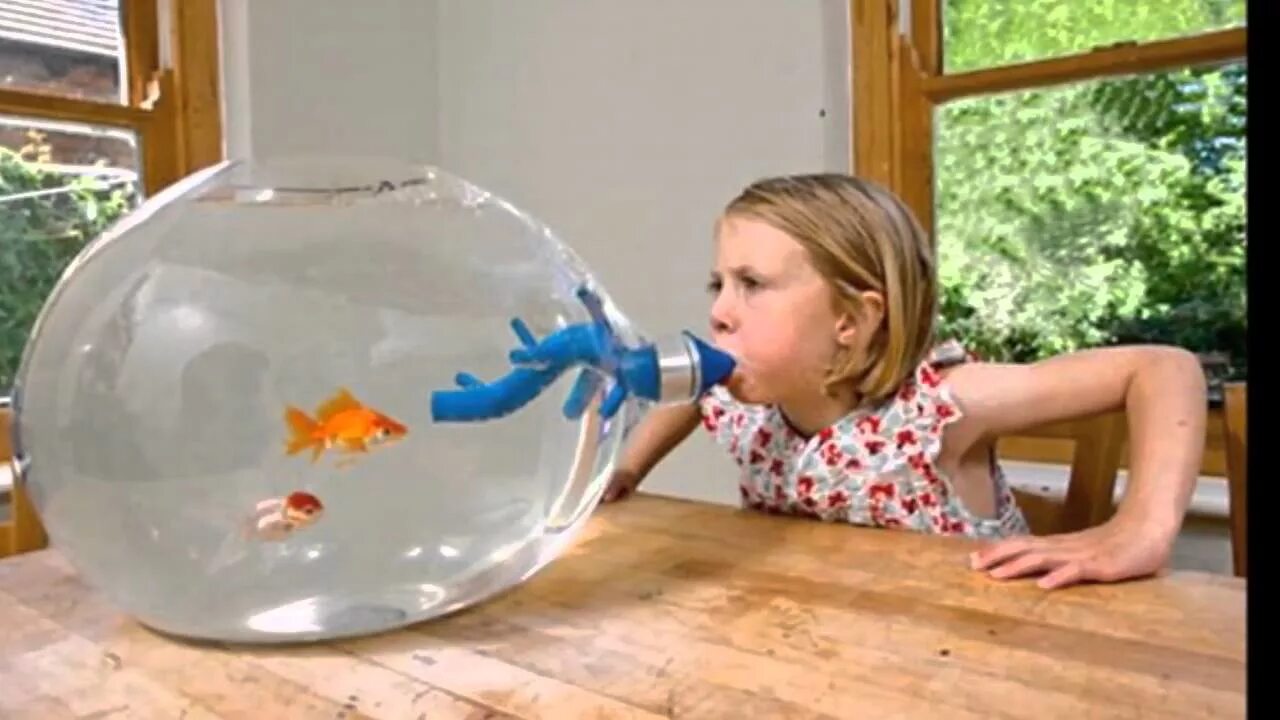 Рыбам нужен воздух. Необычные аквариумы. Рыбки для аквариума. Аквариум для детей. Фотосессия с аквариумом.