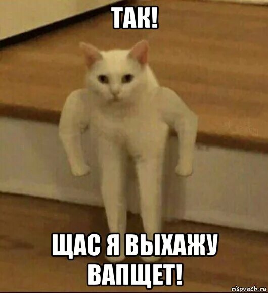 Алиса Ты Сейчас Дрочишь