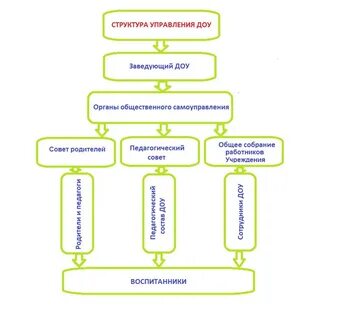 Органы управления дошкольной образовательной организацией