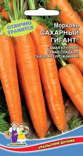 Морковь сахарный