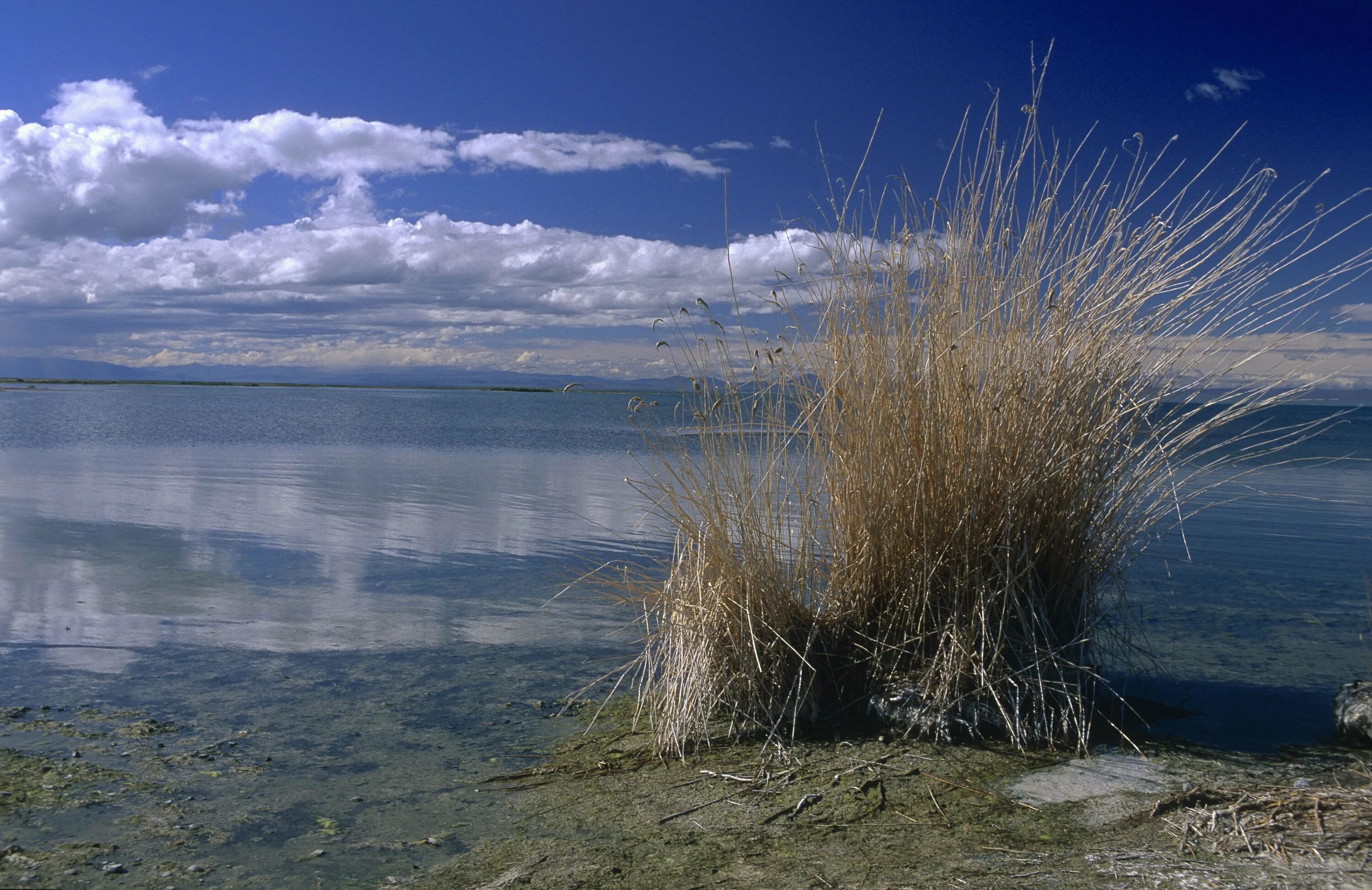 УВС нуур озеро. Озеро Убсу Нур Монголия. УВС Монголия. УВС нуур озеро фото. Котловина больших озер