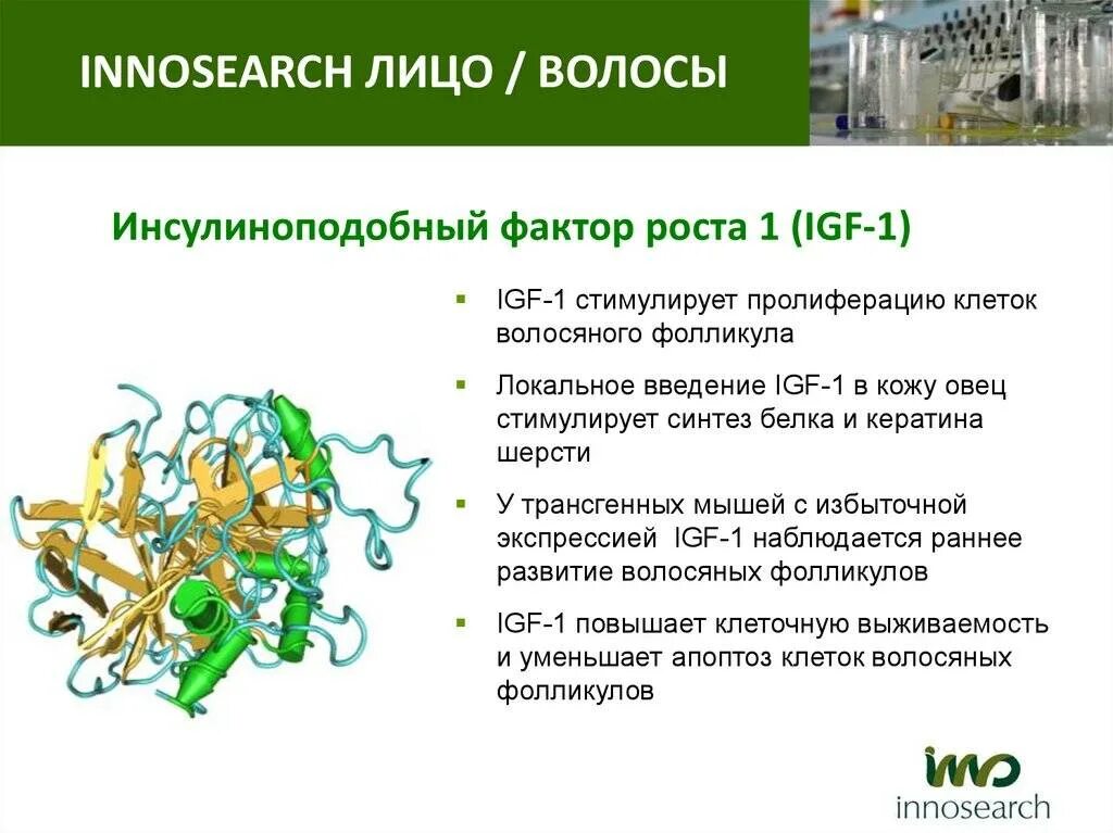 Инсулиноподобный фактор роста-1 (ИФР-1).. IGF-1 инсулиноподобный фактор роста-1. Инсулиноподобный фактор роста (ИФР-1) норма. IGF инсулиноподобный фактор роста. Фактор роста гормон