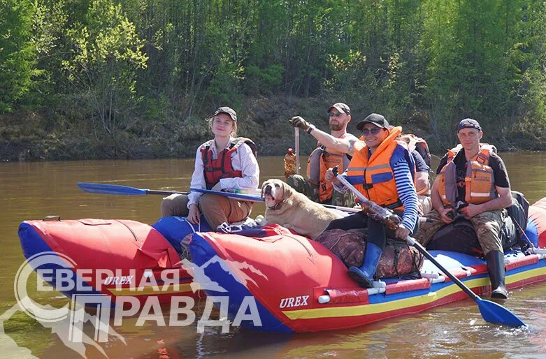 Они вернулись из похода. Добрые походы. Что такое бивуак в туризме. Военные походы платова. Активист поход.
