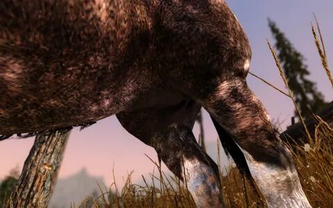 Can anyone tell me what I'm doing wrong? 