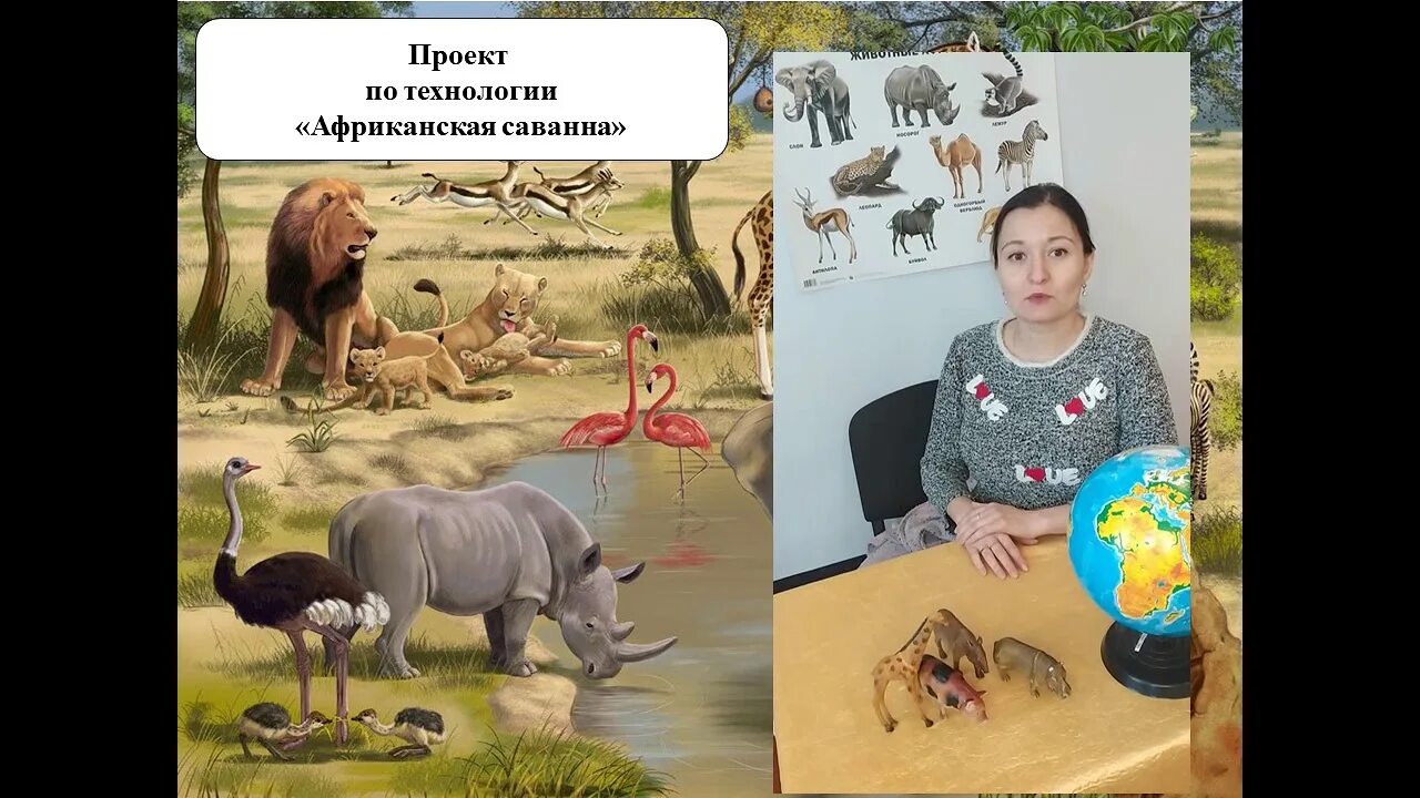 Африканская саванна проект 2 класс. Макет саванны для детского сада. Африканская саванна проект 2 класс. Хозяйственная деятельность человека в саванне. Африканская саванна проект 2 класс.
