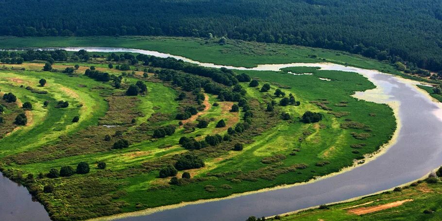 Республиканский ландшафтный заказник старица. Биологический заповедник и его виды. Биологический заказник. Заказник вороновский. Красоты плесецкого района.