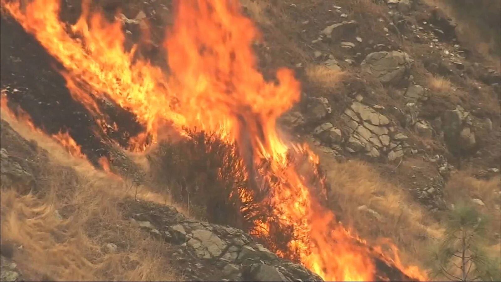 Near the fire. Yosemite s012 burned. 2012 - Fires Cover. Raging Fires literally.